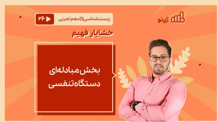 بخش مبادله‌ای دستگاه تنفسی