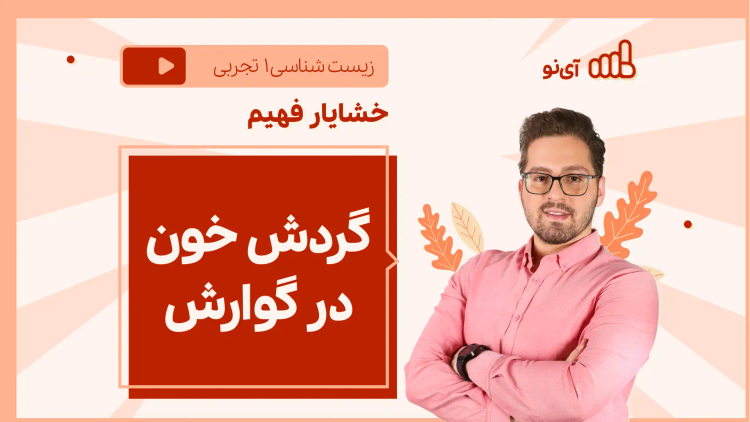 نکته و تست گردش خون در گوارش