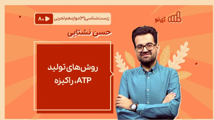 روش های تولید ATP، راکیزه